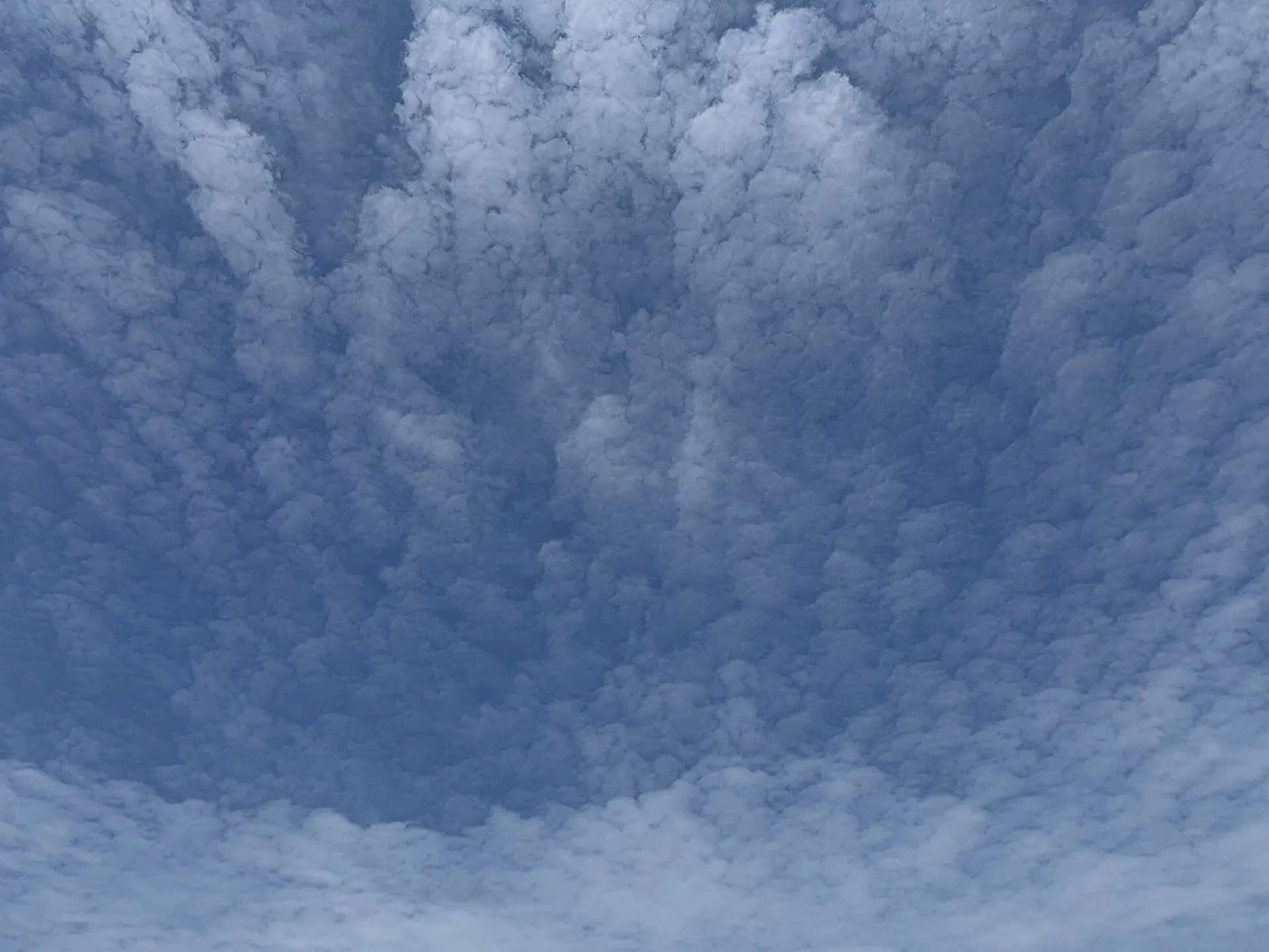 Cirrocumulus