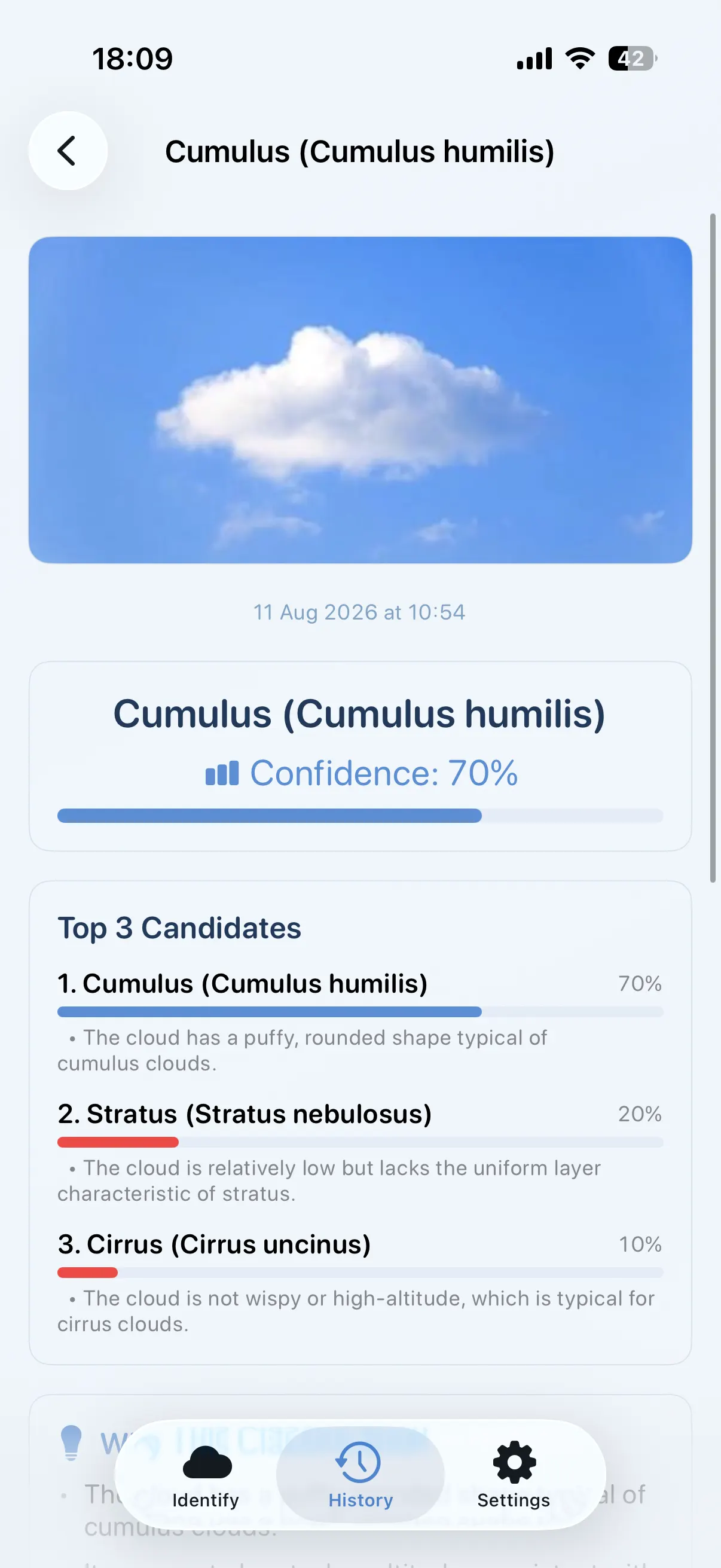 Cloud ID app showing an identified cumulus cloud with confidence score